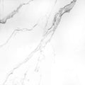 VITROMEX GLACIAR BIANCO 60.5X60.5 1A CJA 1.83 M2
