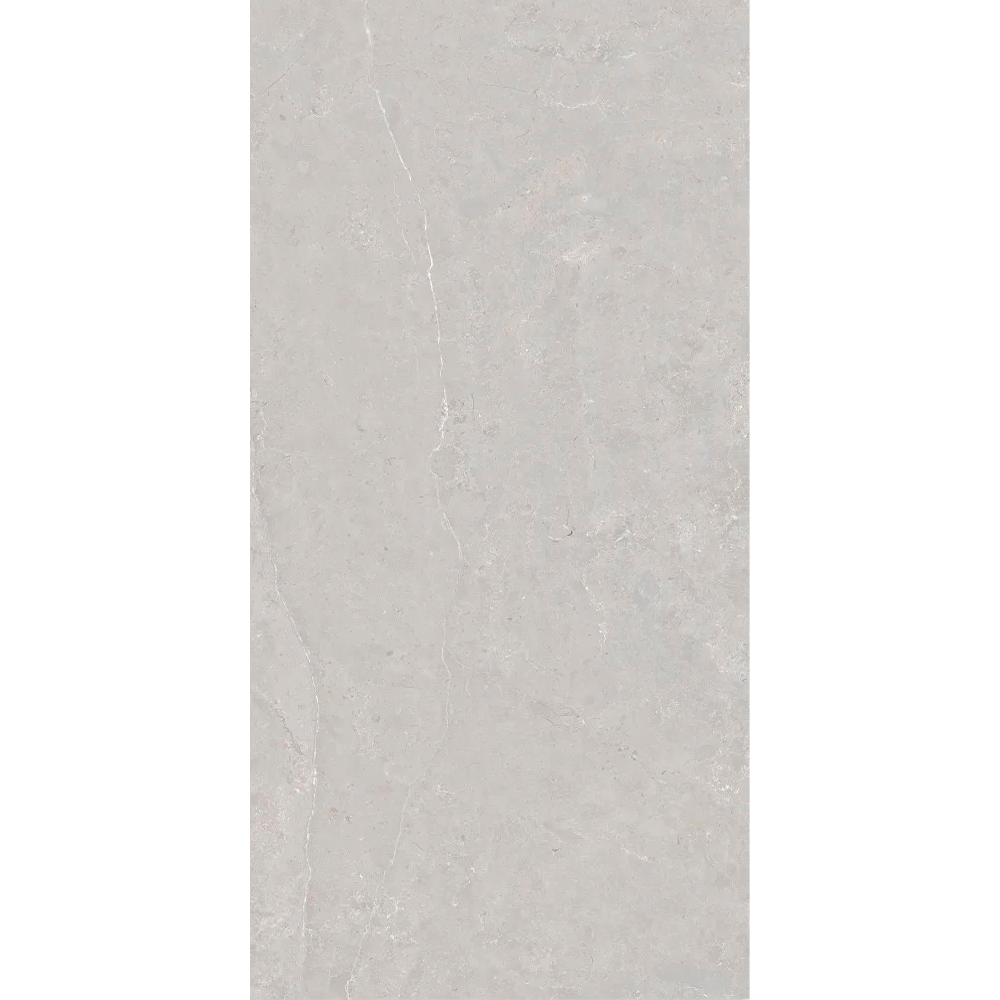 CASTEL  MOON GRIS (SILVER) 60X120 1A CJA 1.42 M2 RECT