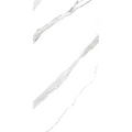 CASTEL CARRARA 62 POLARIS PULIDO BLANCO 59.5X119.5 1A CJA 2.13 M2