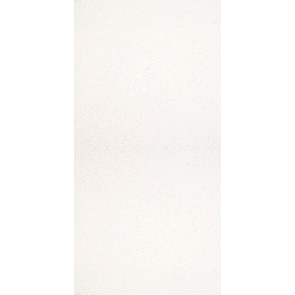 CASTEL TOSCANA 120 PLUS BLANCO 60X120 1 CJA 1.44 M2