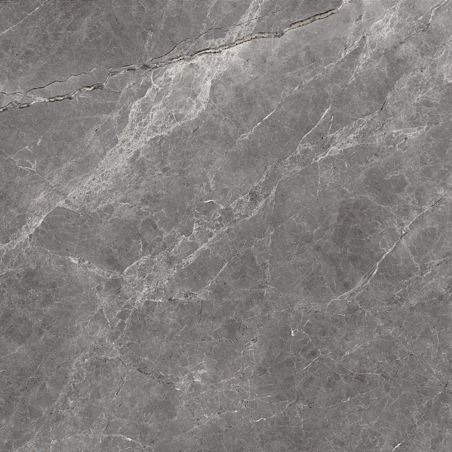 LAMOSA CAPITOLINA GRAFITO BRILLO 55X55 1A CJA 1.49 M2