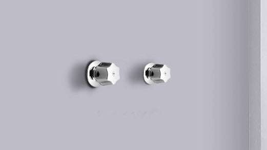 ROALFLUX MANERAL METALICO PARA REGADERA