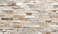 TECNOPISO DUBLIN BLANCO 30X60 1A CJA 1.62 M2 FACHALETA BRILLANTE
